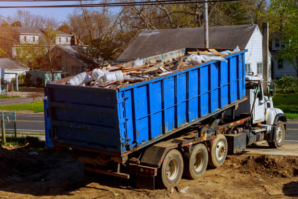 Best Yard Cleanup Services  in Paradise Valley, AZ