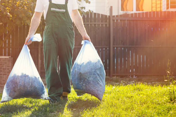 Best Office Junk Removal  in Paradise Valley, AZ