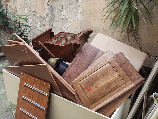 Best Yard Waste Removal  in Paradise Valley, AZ
